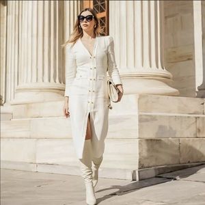 NWT Zara bloggers fave dress